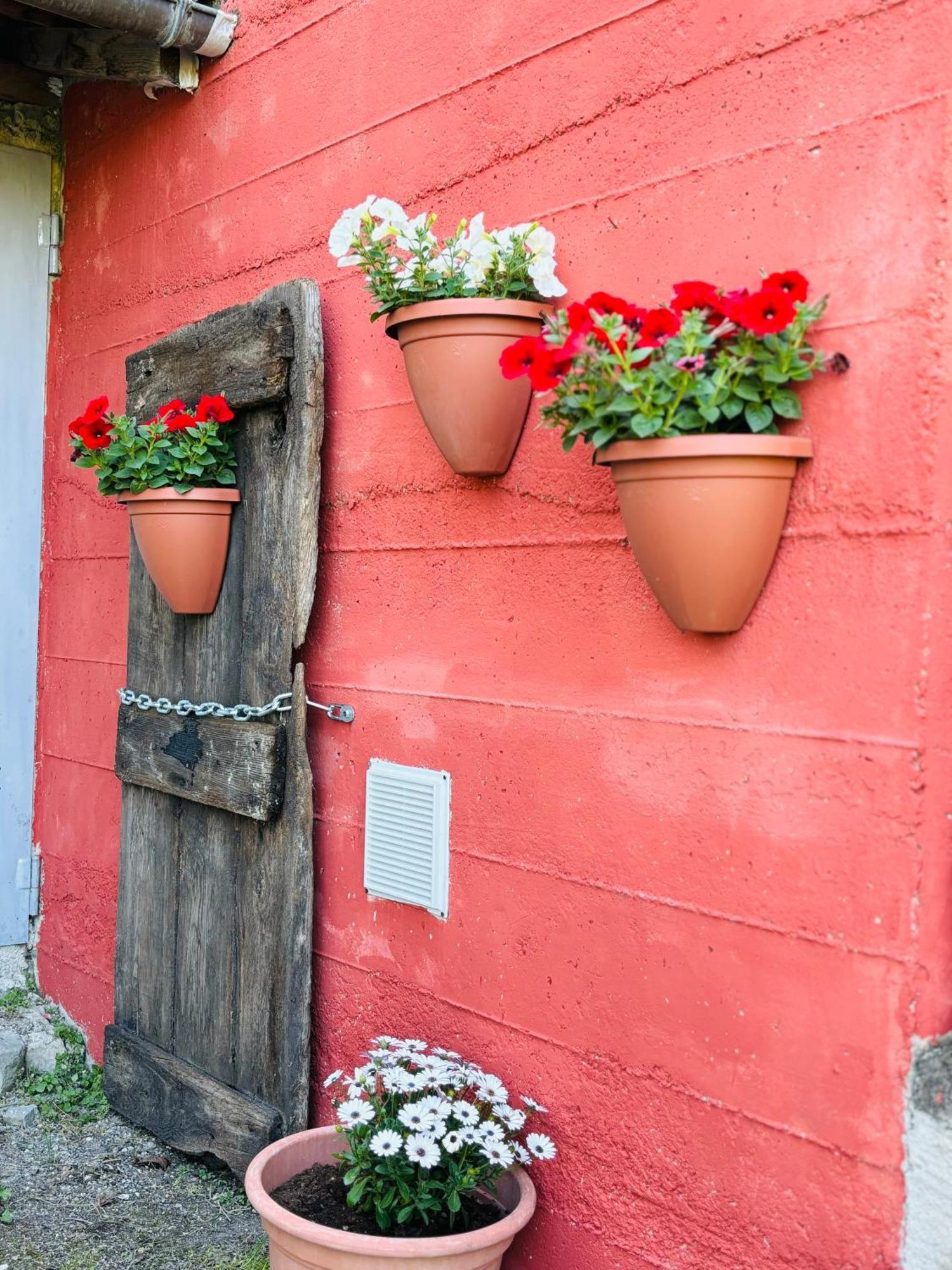 Borghetto Di BorberaA Casa Di Mirna别墅 外观 照片